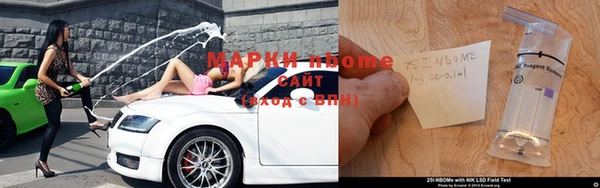 прущие грибы Ростов