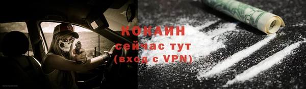 прущие грибы Ростов